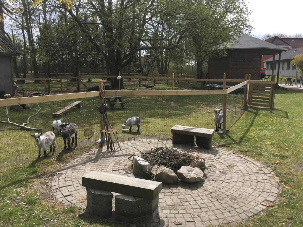 Hestkaer Family Rooms Summer Camp Krogager Kültér fotó