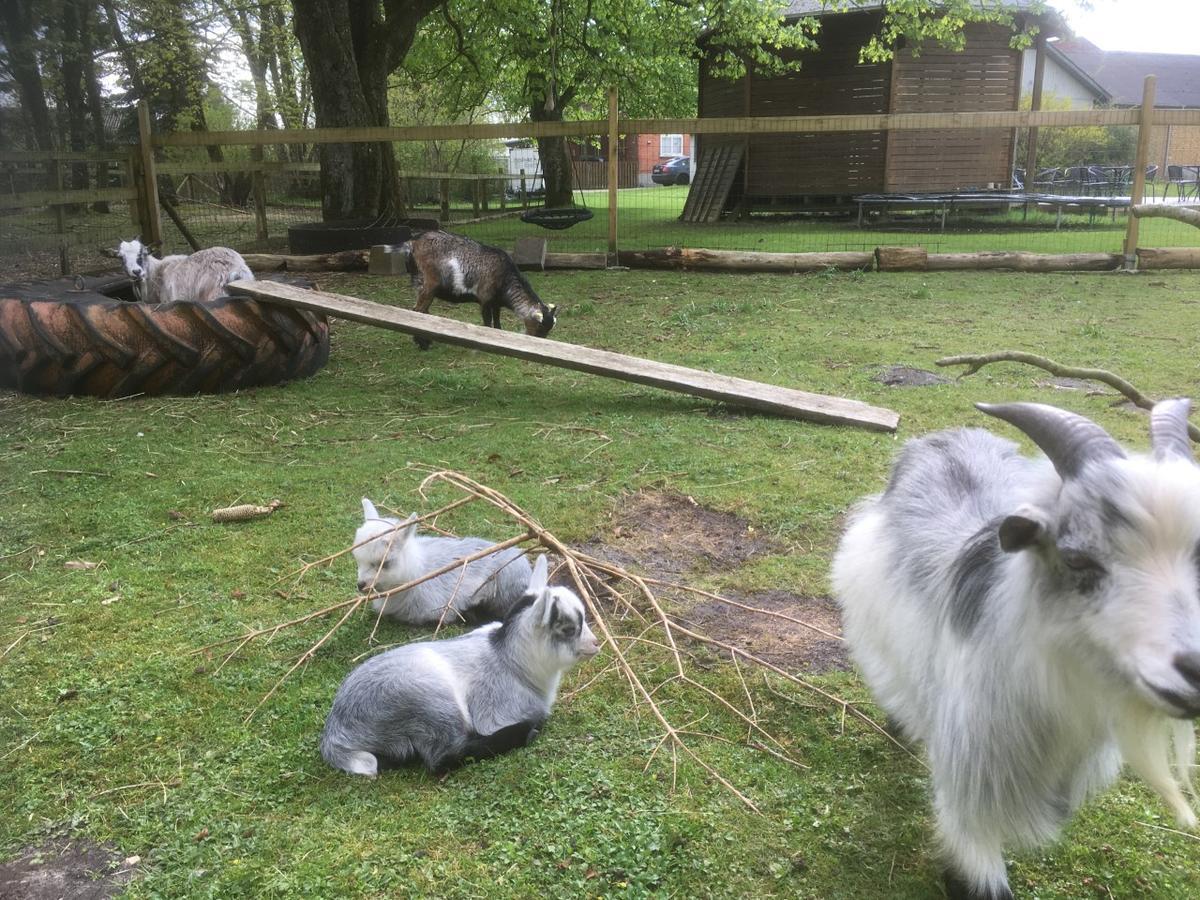 Hestkaer Family Rooms Summer Camp Krogager Kültér fotó