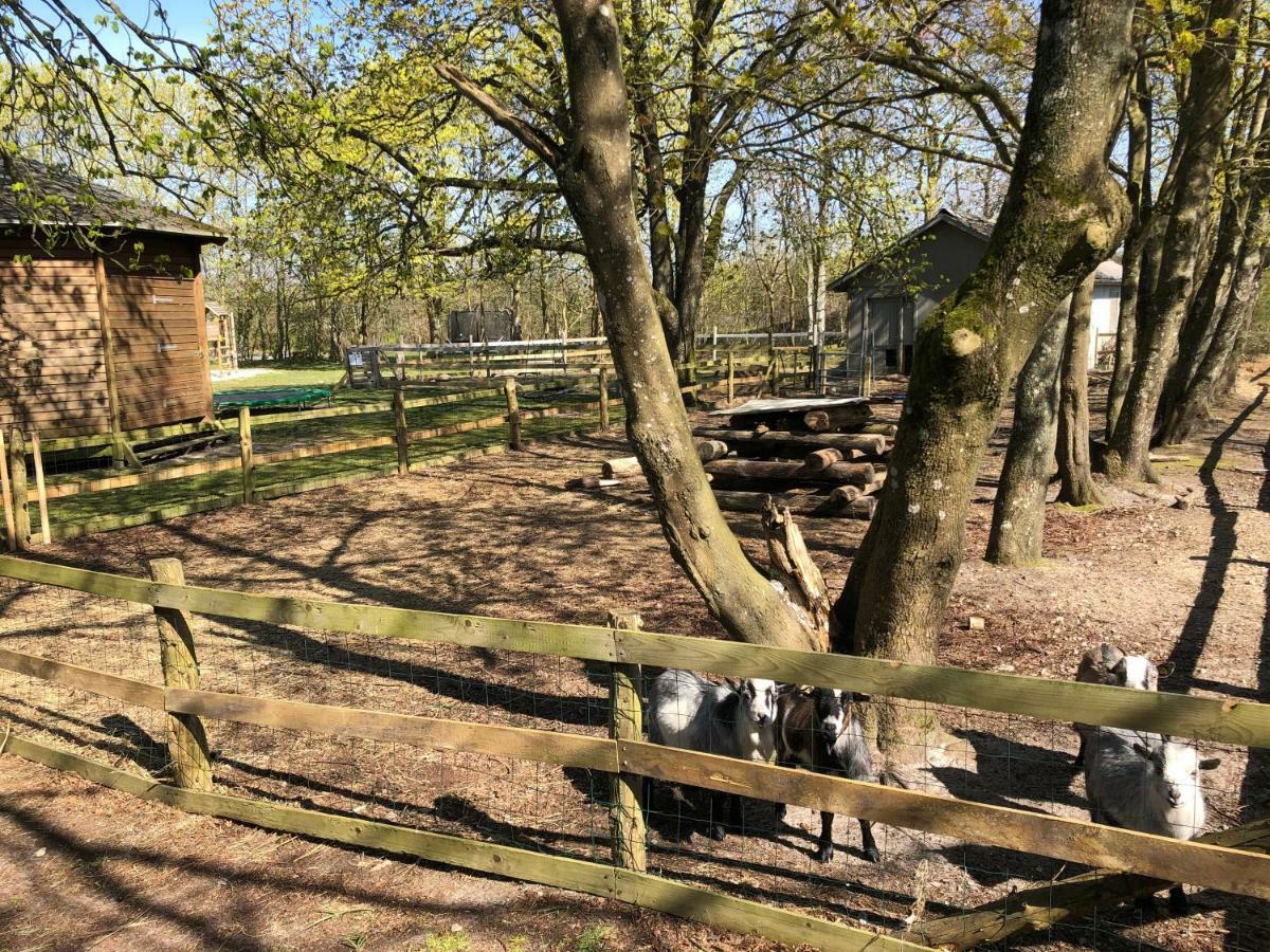 Hestkaer Family Rooms Summer Camp Krogager Kültér fotó