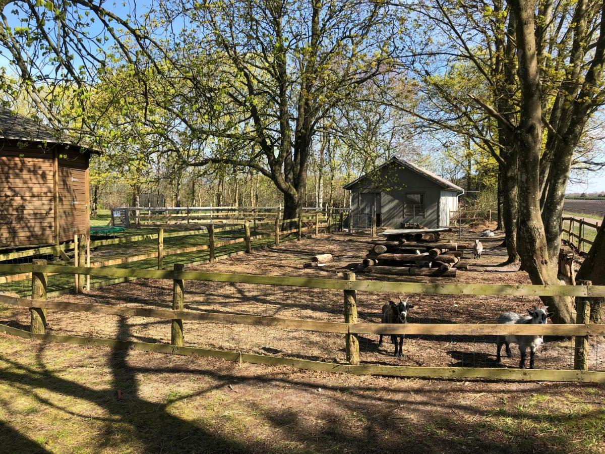 Hestkaer Family Rooms Summer Camp Krogager Kültér fotó